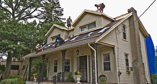 Best Flat Roof Repair Services  in Bell Nyon, CA